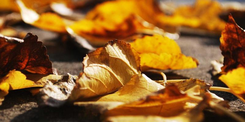 DMPAS技术实战指南:从入门到精通的网络技术教程与资源宝库