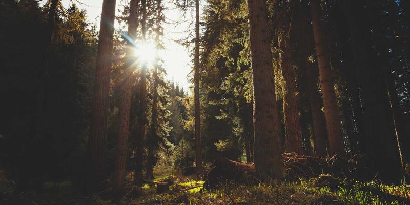 从零到一:网络技术入门完全指南,开启你的编程开发之旅